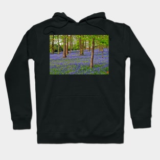 Bluebell Woods Greys Court Oxfordshire UK Hoodie